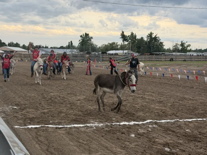 Alpena County Fair well attended, says Alpena County fairboard
